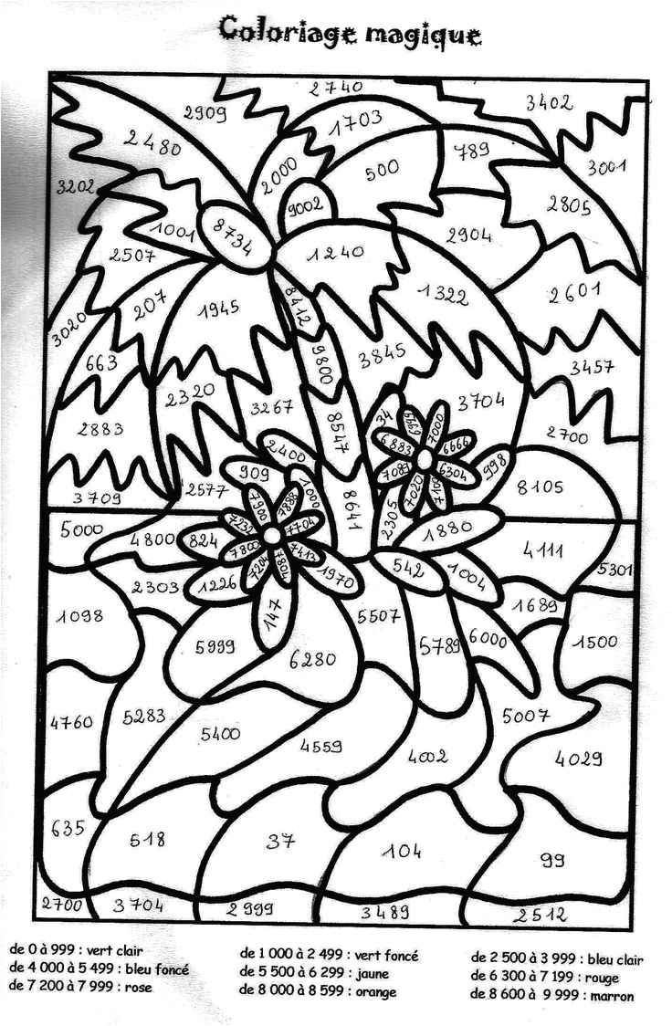 Coloriage Magique Flamant Rose Coloriage Magique Grande Section   Imprimer