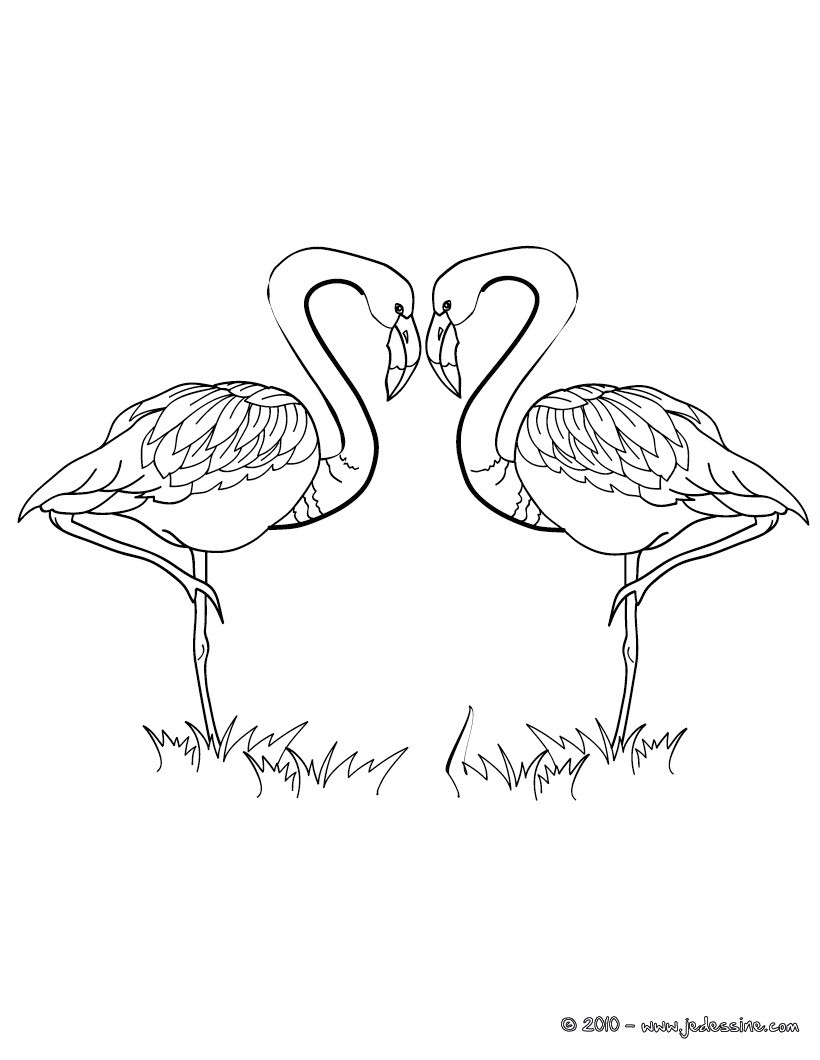 Coloriage Mandala Flamant Rose Coloriage Saint Valentin Coloriages Coloriage   Imprimer Gratuit