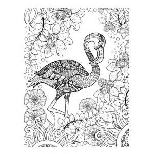 Coloriage Mandala Flamant Rose Flamingo Pinterest