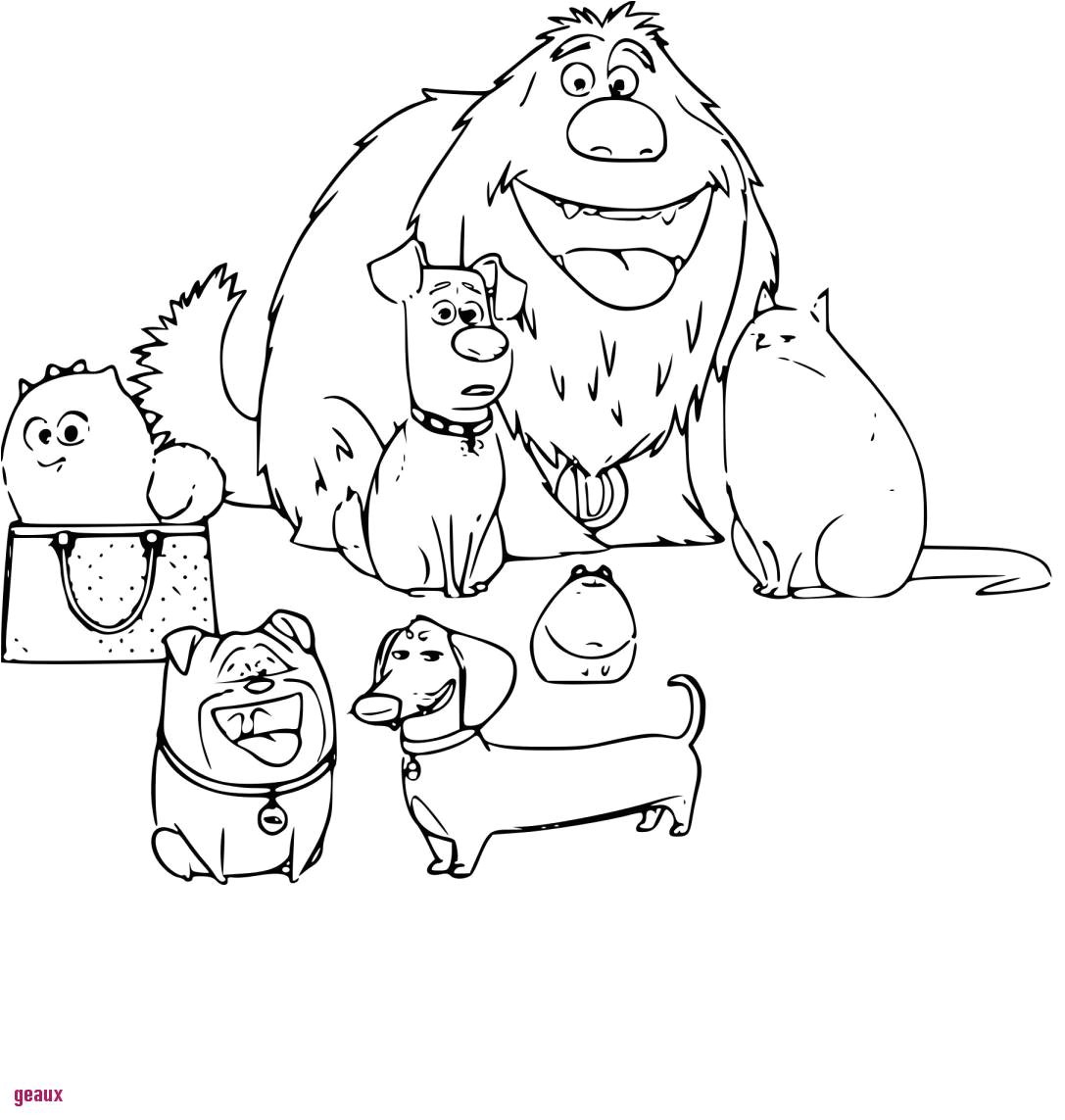 Coloriage Pierre Lapin En Ligne Coloriage Pierre Lapin top Mod¨le Les Petites Betes Coloriage