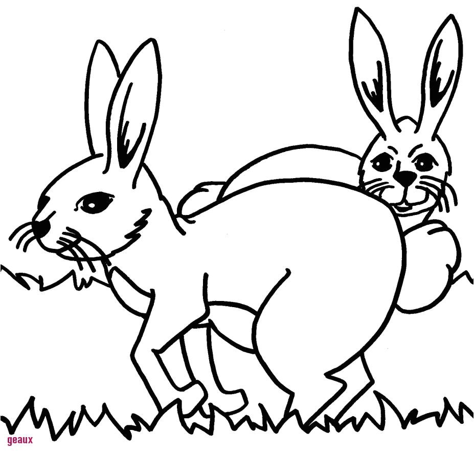 Coloriage Pierre Lapin En Ligne Coloriage Pierre Lapin Unique Papier Peint Lapin Dessin Imprimer Coloriage Pierre Lapin En Ligne Coloriage Pierre Lapin Unique Papier Peint Lapin Dessin Imprimer