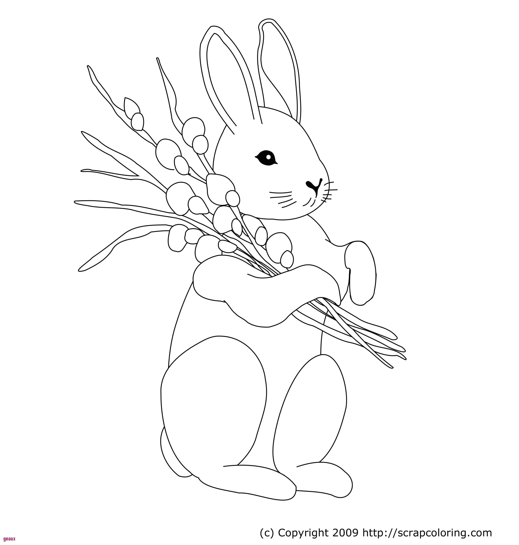 Coloriage Pierre Lapin Gratuit Coloriage Pierre Lapin Charmant Graphie Dessin De Lapin