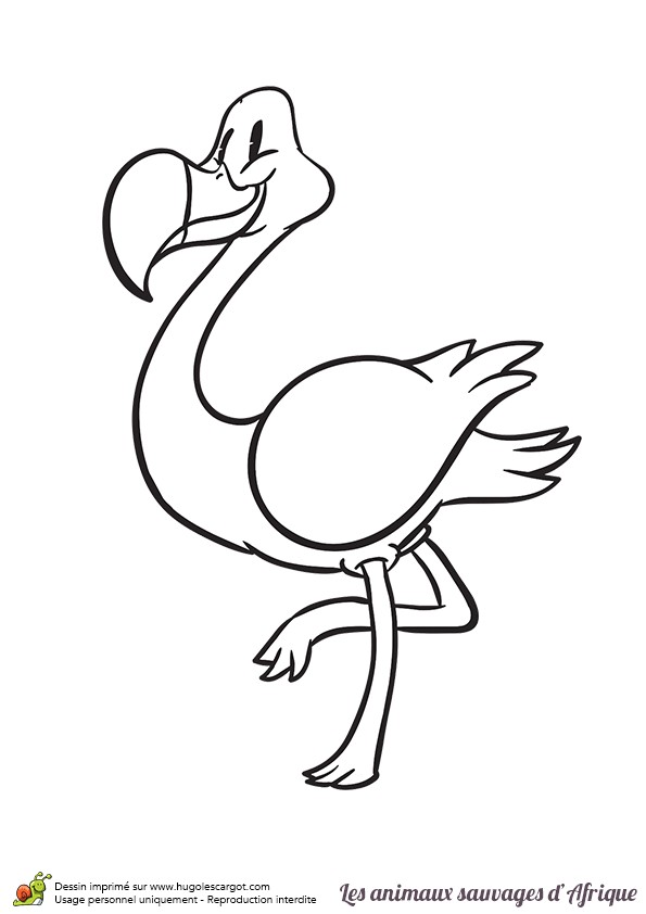 Dessin Flamant Rose Coloriage Dessin origami Flamant Rose Coloriage Flamant Rose   Imprimer