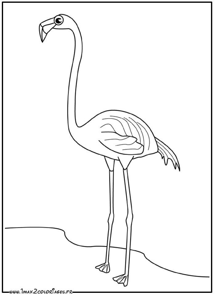 Dessin Flamant Rose Coloriage Dessin origami Flamant Rose Coloriage Flamant Rose   Imprimer