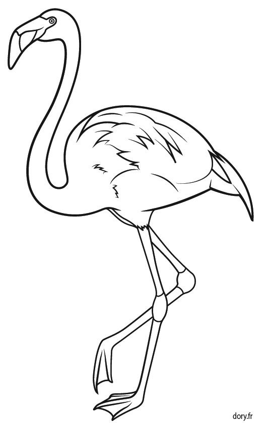 Dessin Flamant Rose Coloriage Dessin origami Flamant Rose Coloriage Flamant Rose   Imprimer