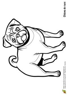 Hugo L Escargot Coloriage Gratuit A Imprimer Animaux Les 191 Meilleures Images Du Tableau Coloriages Animaux De Pagnie