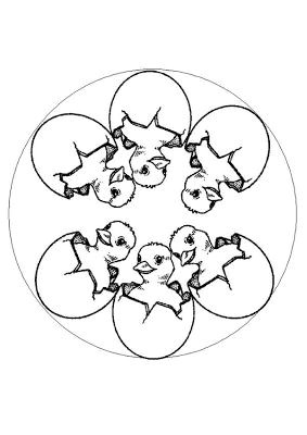 Mescoloriages.com Paques Mandala Poussin Mandala Mandalas Coloriage