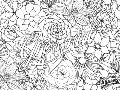 Cahier De Coloriage Adulte Anti Stress Coloriage Anti Stress Insulte