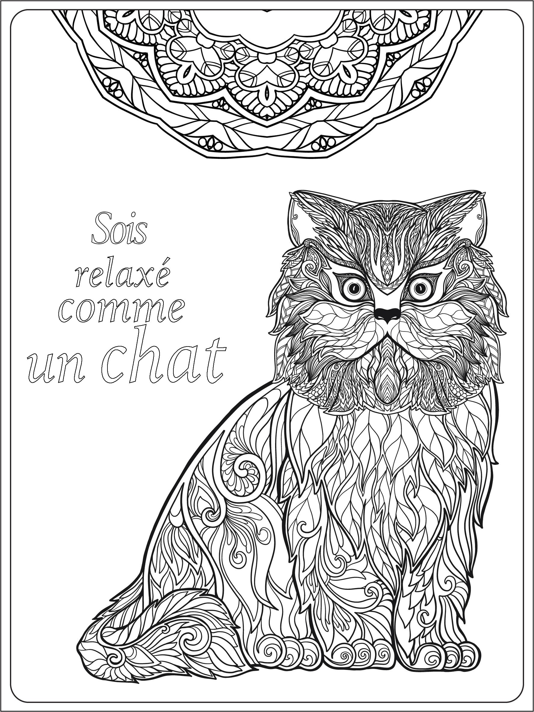 Cahier De Coloriage Adulte Pas Cher Mandala De Chat De Zentangle La Page De Livre De Coloriage Pour Des