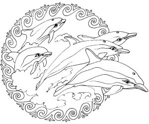 Coloriage à Imprimer Animaux Dauphin 45 Nouveau S De Coloriage De Dauphin Imprimer