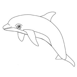 Coloriage à Imprimer Animaux Dauphin Coloriage Dauphins Page 2
