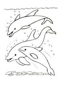 Coloriage à Imprimer Animaux Dauphin Coloriages Colorier Les Baleines