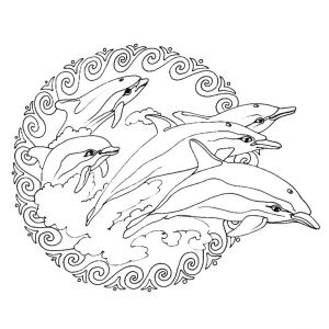 Coloriage à Imprimer Animaux Dauphin Dessin De Mandala A Imprimer Maison Design Apsip