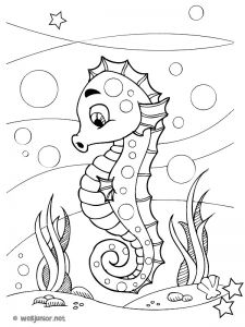 Coloriage à Imprimer Animaux Dauphin Hippocampe 3 Animaux – Coloriages Imprimer