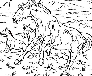 Coloriage à Imprimer Gratuit Cheval Sauvage 20 Dessins De Coloriage Cheval Imprimer Imprimer