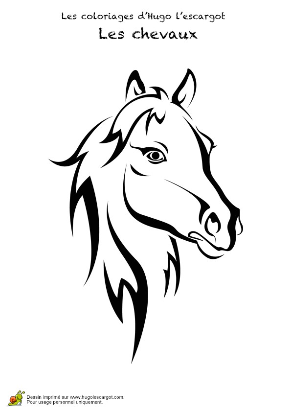 Coloriage à Imprimer Gratuit Cheval Sauvage Dessin D Une Tªte De Cheval Pour Illustrer La Premi¨re Page De