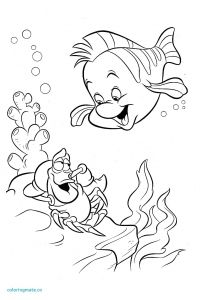 Coloriage à Imprimer Gratuit Oum Le Dauphin Blanc Impressionnant Dessin De Ariel A Colorier – Mademoiselleosaki