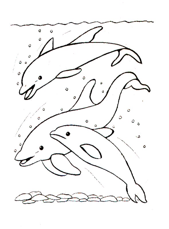 Coloriage à Imprimer Sirene Et Dauphin Coloriages   Colorier Les Baleines
