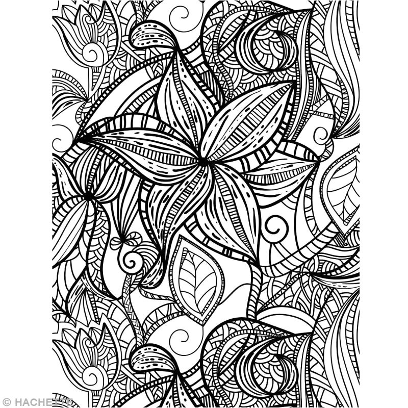Coloriage Adulte Fond Marin Dessins Gratuits   Colorier Coloriage Adulte Anti Stress   Imprimer