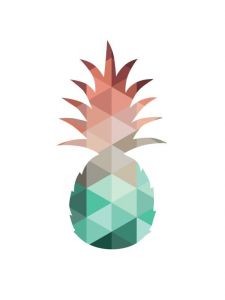 Coloriage Ananas Facile 44 Best Mod¨les Fil De Fer Images On Pinterest