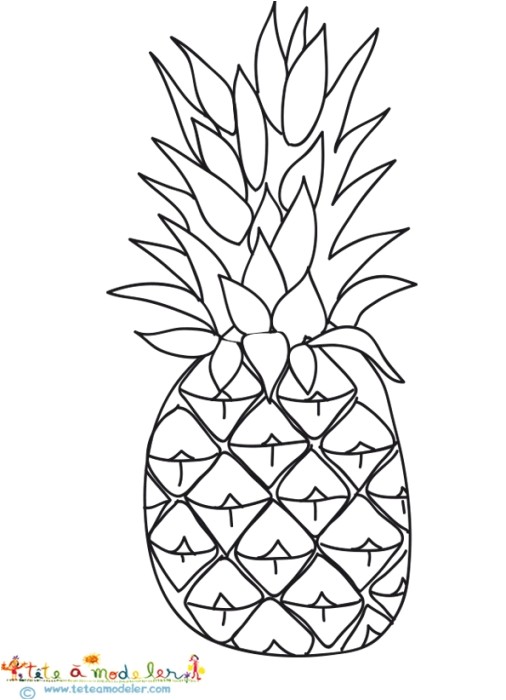 Coloriage Ananas Mandala Ananas   Colorier Sur Tªte   Modeler