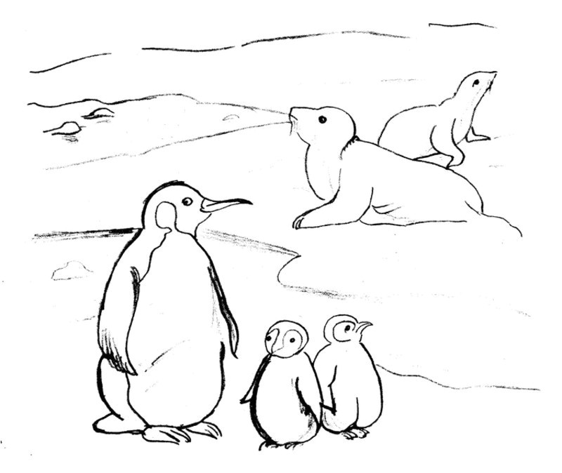 Coloriage Animaux Banquise Activites Coloriages Animaux