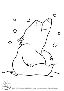 Coloriage Animaux Banquise Monde Des Petits Coloriages Imprimer