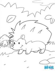 Coloriage Animaux De La Mer à Imprimer 52 Best Coloriages Animaux De La Ferme Images On Pinterest