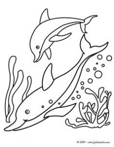 Coloriage Animaux De La Mer à Imprimer 68 Best Coloriages Animaux Marins Images On Pinterest