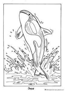 Coloriage Animaux De La Mer à Imprimer 68 Best Coloriages Animaux Marins Images On Pinterest