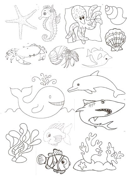 Coloriage Animaux De La Mer En Ligne Coloriage Animaux Marins