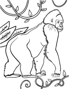 Coloriage Animaux Gorille Gorille 19 Animaux – Coloriages   Imprimer