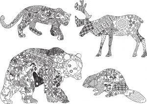 Coloriage Animaux Sauvages Difficile Coloriage Anti Stress Animaux Tigre