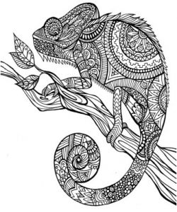 Coloriage Animaux Sauvages Difficile Les Mandalas D Animaux Envie Du Jour