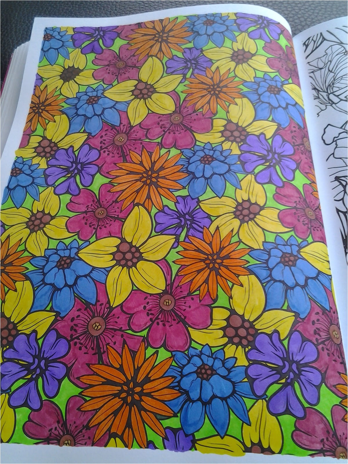 Coloriage Anti Stress Hachette Luki Color Art Thérapie Coloriage Pour Adulte Mes Coloriages