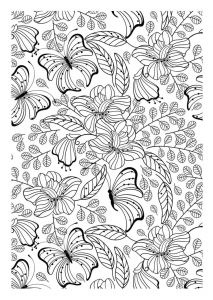 Coloriage Anti Stress Papillon à Imprimer Les 93 Meilleures Images Du Tableau Coloriage Sur Pinterest