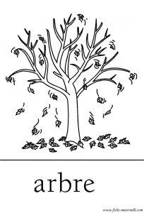 Coloriage Arbre D Automne Maternelle Coloriage Arbres Les Beaux Dessins De Nature   Imprimer Et