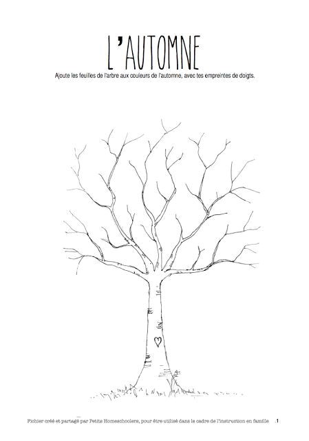 Coloriage Arbre D Automne Maternelle Petits Homeschoolers Fichier D Activités Sur L Automne Free