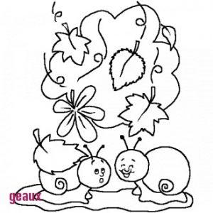 Coloriage Automne Maternelle A Imprimer Gratuit 39 Sensationnel Concept Coloriage Automne Novembre