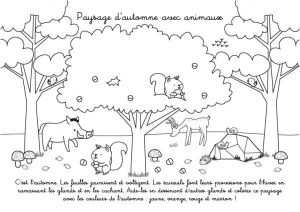 Coloriage Automne Maternelle A Imprimer Gratuit Coloriage Imprimer Paysage D Automne Le Végétal