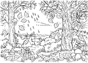 Coloriage Automne Pour Maternelle Automne Coloriages Dessin De Coloriage Automne Imprimer Cp Nouveau