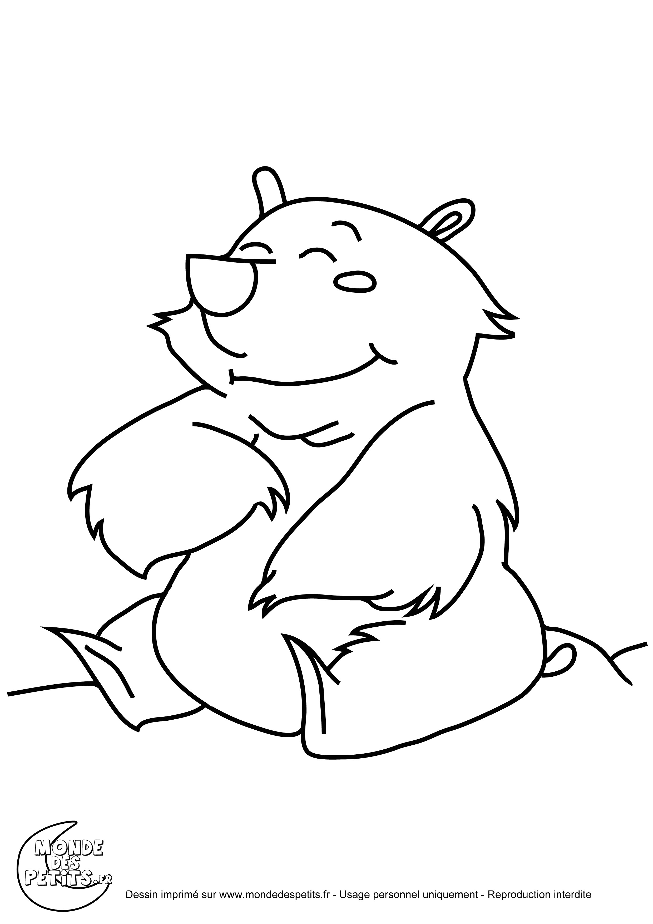 Coloriage Banquise Imprimer Monde Des Petits Coloriages   Imprimer