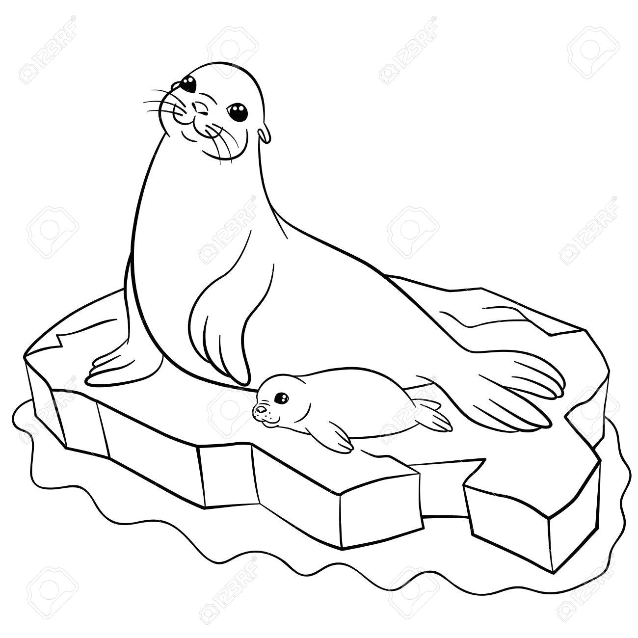 Coloriage Banquise Maternelle Coloriage M¨re Sceller Avec son Petit Bébé Mignon Sur La Banquise