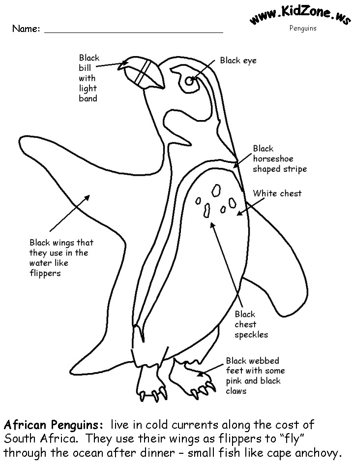 Coloriage Banquise Maternelle Free Penguin Activities