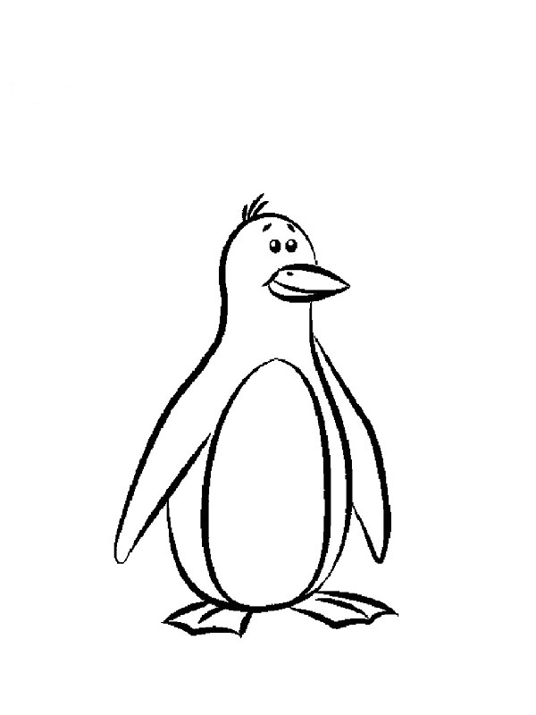 Coloriage Banquise Pingouin 116 Dessins De Coloriage Pingouin   Imprimer