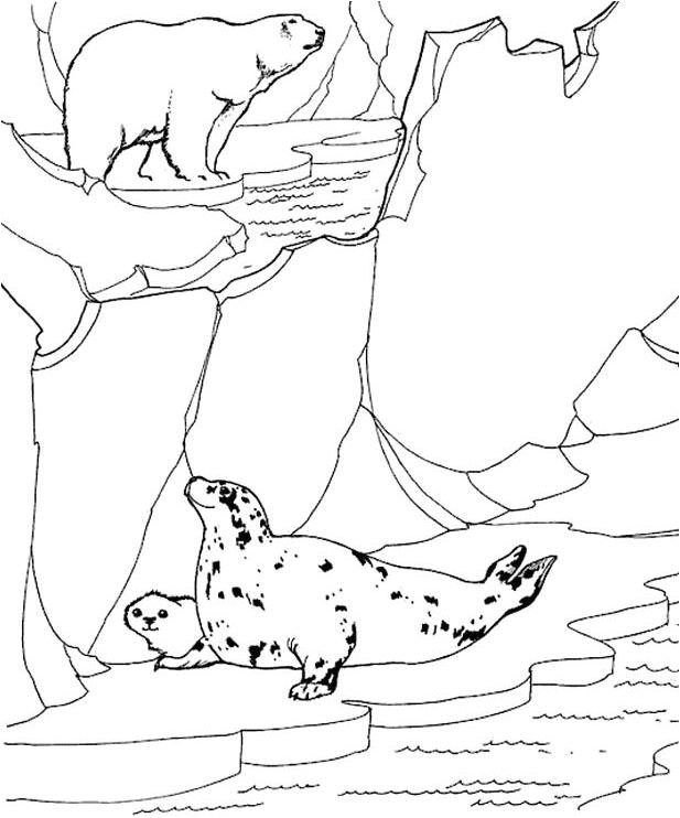 Coloriage Banquise Pole nord Coloriages De Phoque