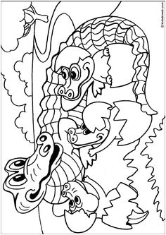 Coloriage Bébé Animaux Savane 118 Best thema Krokodil Kleuters Crocodile theme Preschool