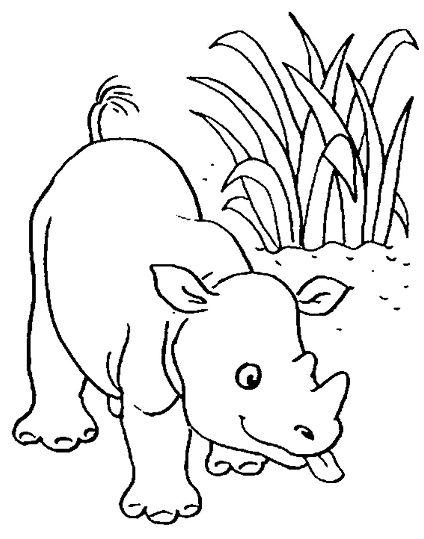 Coloriage Bébé Animaux Savane Bb Dessin Dessin Pour Chambre B B Avec Coloriage Bebe Les Beaux