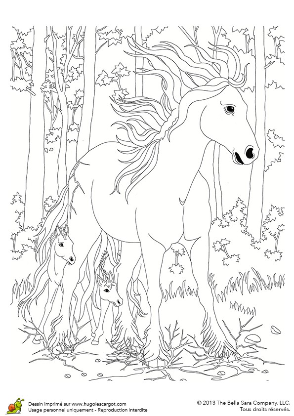 Coloriage Bella Sara A Imprimer Coloriage Bella Sara Dans La forªt