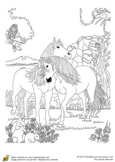 Coloriage Bella Sara Fiona M¥larbilder Bella Sara 4 M¥larbilder
